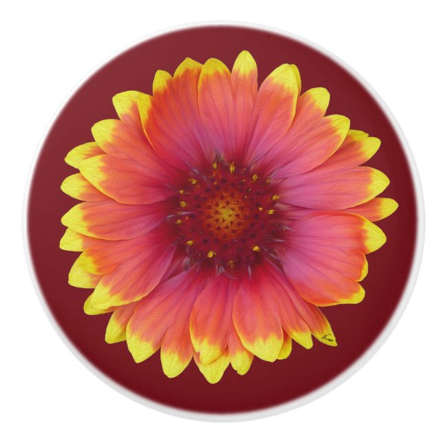 Gaillardia 1 knopp (Framsidan)