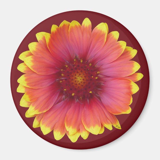 Gaillardia 1 magnet (Framsidan)