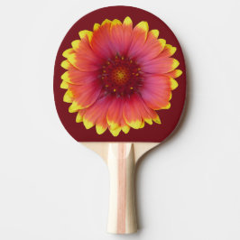 Gaillardia 1 pingisracket