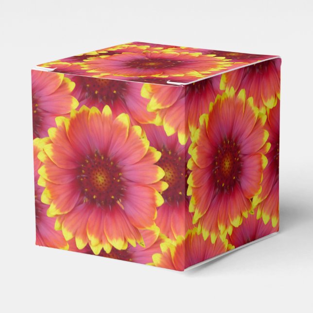 Gaillardia 1 presentaskar (Framsidan Sidan)