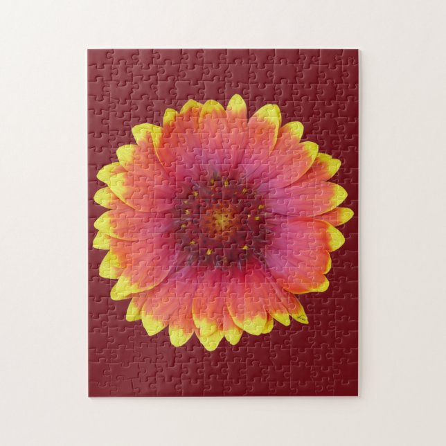 Gaillardia 1 pussel (Vertikal)