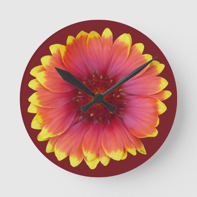 Gaillardia 1 rund klocka (Framsida)