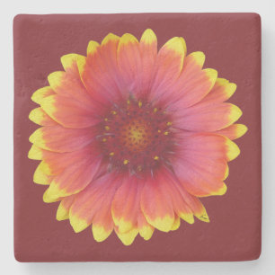 Gaillardia 1 stenunderlägg