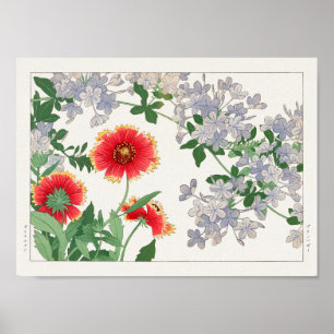 Gaillardia, Plumbago av Tanigami Konan Poster