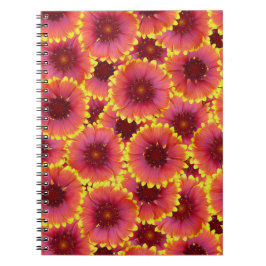 Gaillardia Seamless Mönster Anteckningsbok