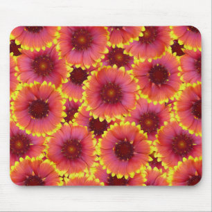 Gaillardia Seamless Mönster Musmatta