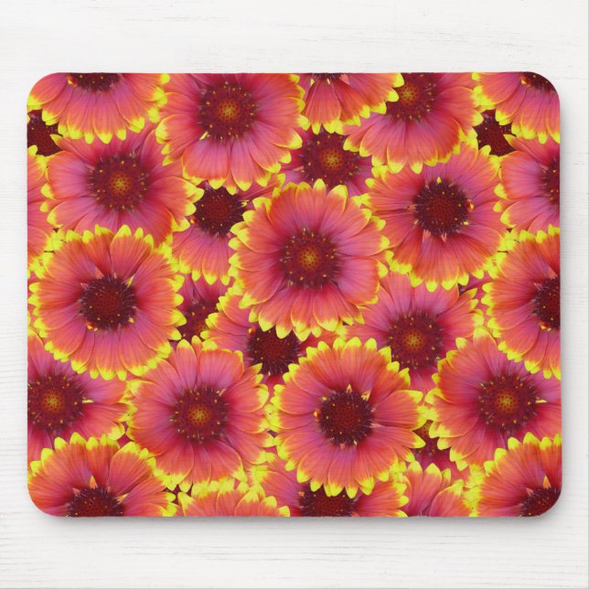 Gaillardia Seamless Mönster Musmatta (Framsidan)
