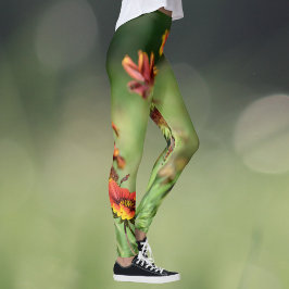 Gaillardia SunFlowers Vilda Blommor Blommig Grön Leggings