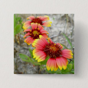 Gaillardia Wildblomma (Blanket Flower) Tote Bag Knapp
