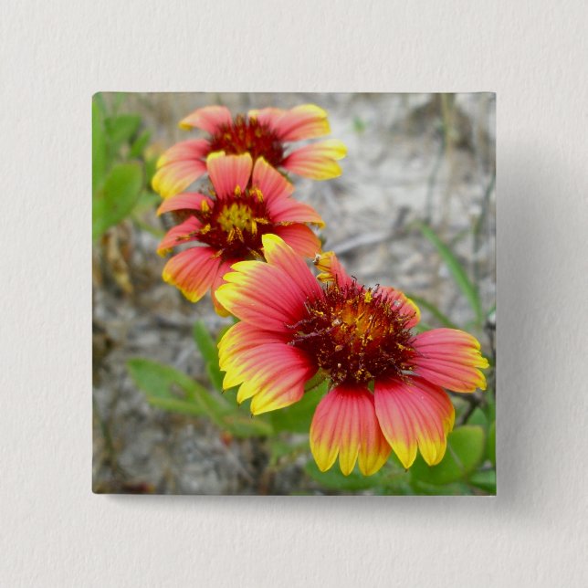 Gaillardia Wildblomma (Blanket Flower) Tote Bag Knapp (Framsida)