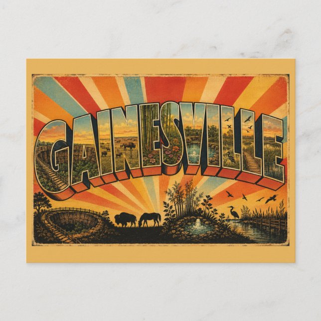 Gainesville Florida Prärie Trädgårdar Källor Vykort (Framsida)