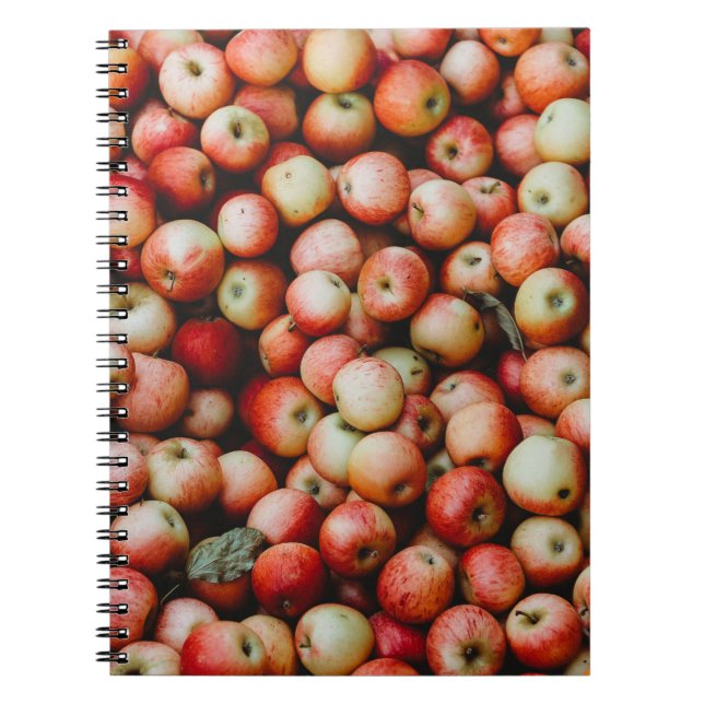 GALA APPLES ANTECKNINGSBOK (Framsidan)