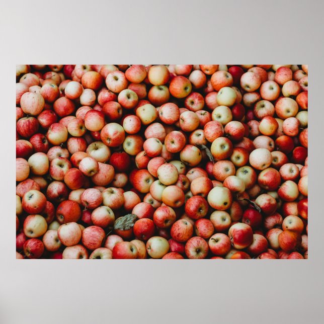 GALA APPLES POSTER (Framsidan)