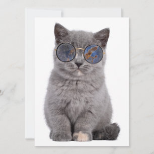 Galactic Gaze the Stellar Kattunge in Sunglass
