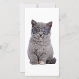 Galactic Gaze the Stellar Kattunge in Sunglass Tack Kort
