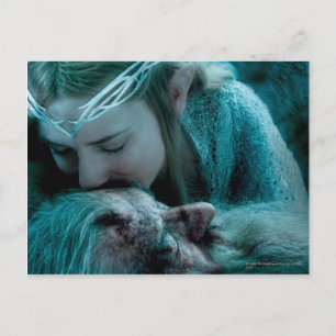 Galadriel Kisses Gandalf Vykort