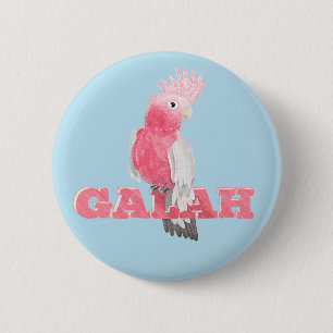 Galah Australain Bird Knapp