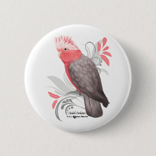 Galah Cockatoo Knapp