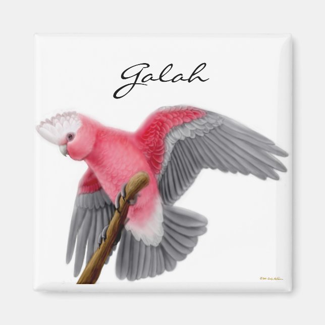Galah Cockatoo Magnet (Framsidan)