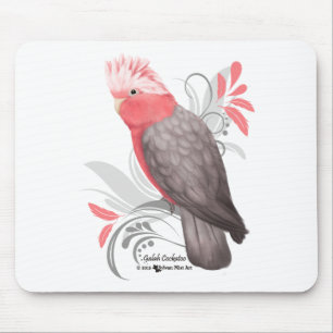 Galah Cockatoo Musmatta