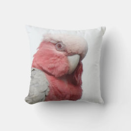 Galah dämpar kudde