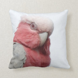 Galah dämpar kudde