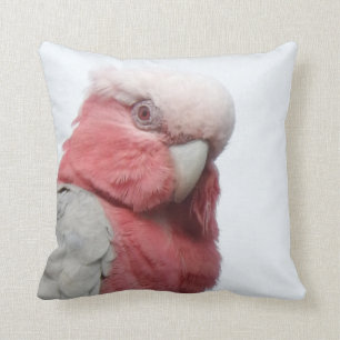 Galah dämpar kudde