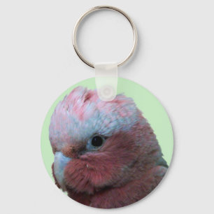 Galah djurlivnyckelring nyckelring