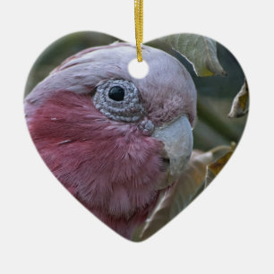 Galah eller Rosenbröstad kakadua Julgransprydnad Keramik