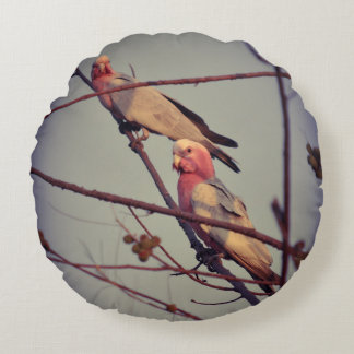 Galah-fåglar i träd 1 rund kudde