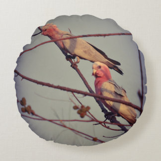Galah-fåglar i träd 2 rund kudde
