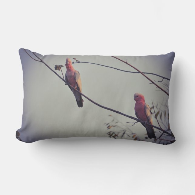 Galah-fåglar i träd 3 lumbarkudde (Framsida)