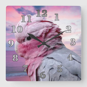 Galah kakadua fyrkantig klocka