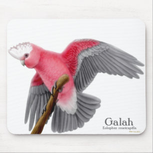 Galah kakadua Mousepad Musmatta