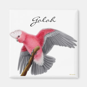 Galah kakaduamagnet magnet