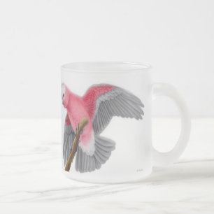 Galah kakaduamugg frostad glasmugg