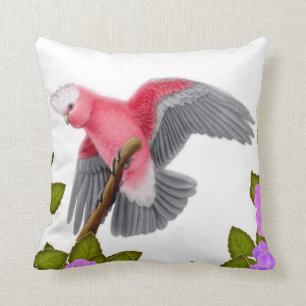 Galah kudder den rosa kakaduan kudde
