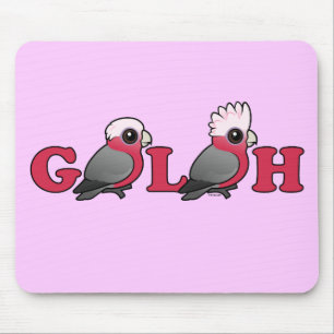 GALAH MUSMATTA