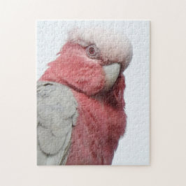Galah Puzzle Pussel