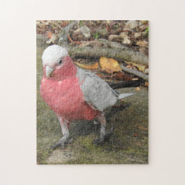 Galah Puzzle Pussel
