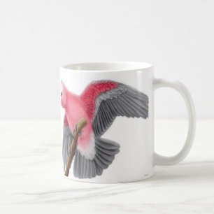Galah ro gådd mot kakaduamugg kaffemugg