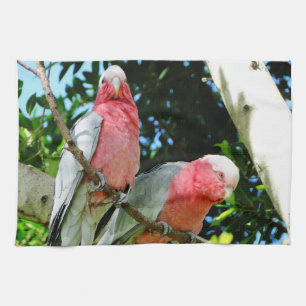 Galah (steg den gick mot kakaduan), kökshandduk