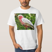 Galah (steg den gick mot kakaduan),