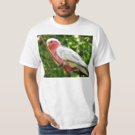 Galah (steg den gick mot kakaduan), t-shirt