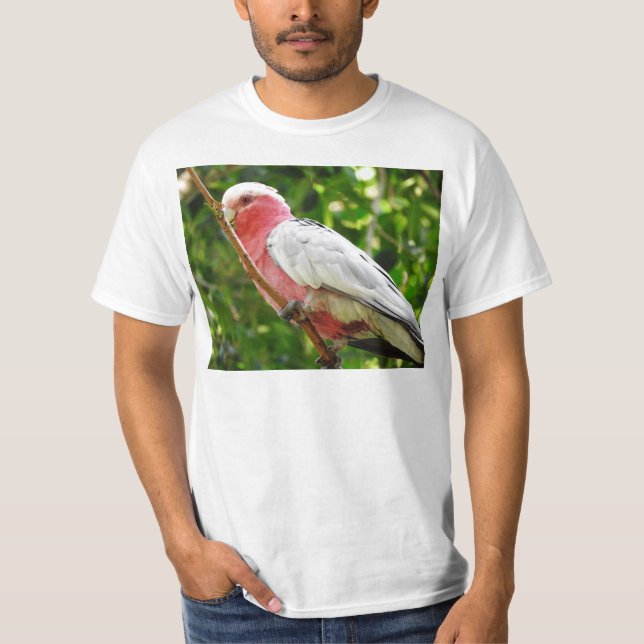 Galah (steg den gick mot kakaduan), t-shirt (Framsida)