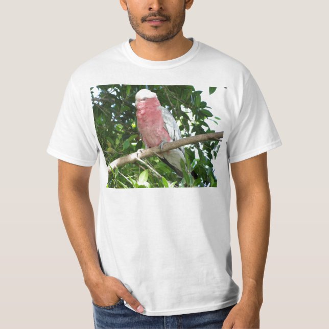 Galah (steg den gick mot kakaduan), tee shirt (Framsida)