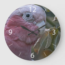 Galah Stor Klocka