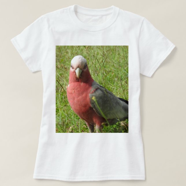 Galah T-tröja Tee (Design framsida)