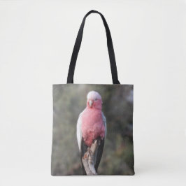 Galah Tygkasse