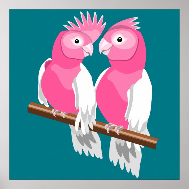 Galahs Poster (Framsidan)